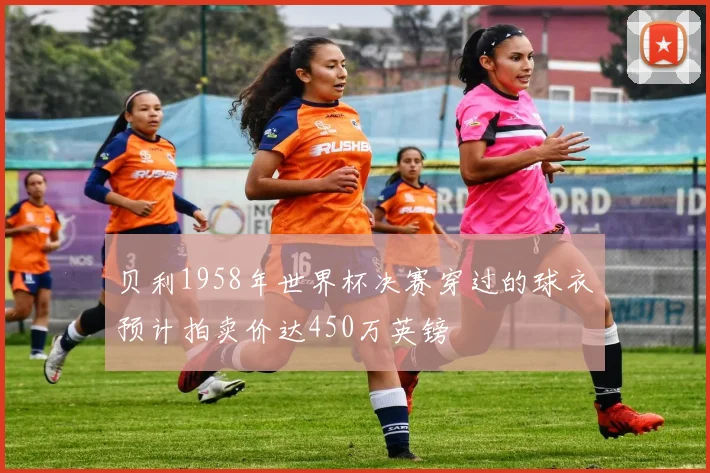 贝利1958年世界杯决赛穿过的球衣预计拍卖价达450万英镑
