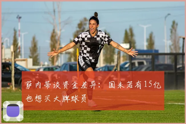 萨内蒂谈资金差异：国米若有15亿也想买大牌球员